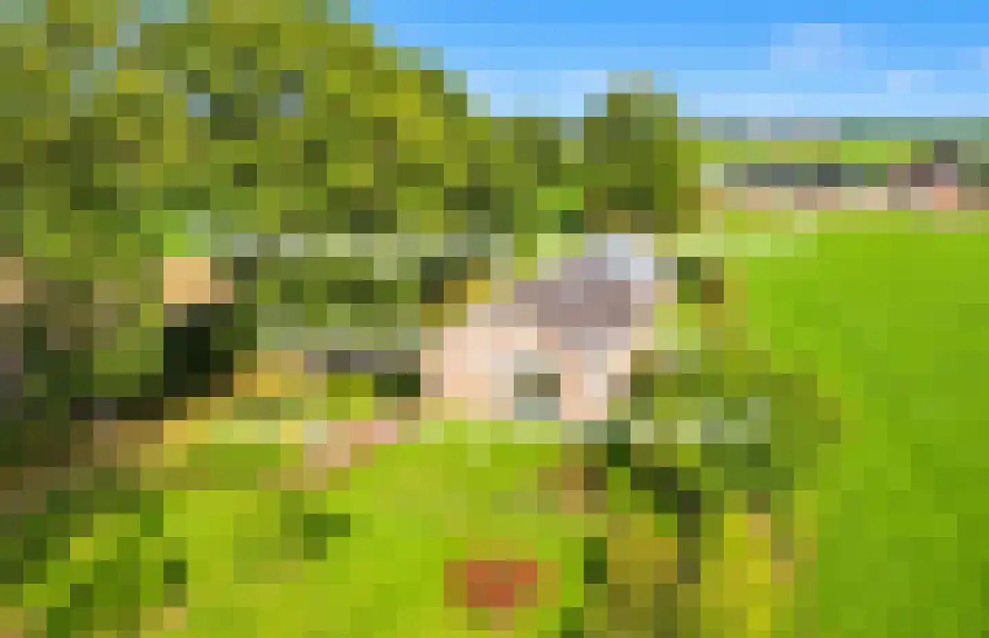 Mandewyk 25 Bakkeveen thumbnail 9
