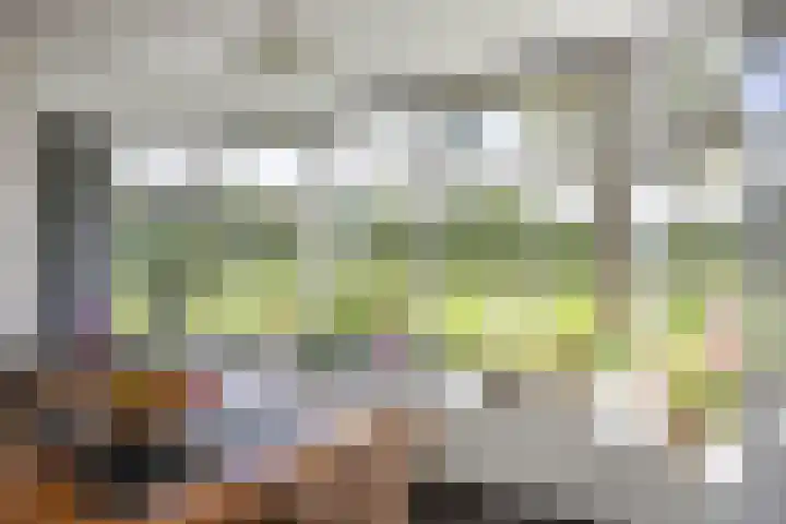 Mandewyk 37 Bakkeveen thumbnail 11