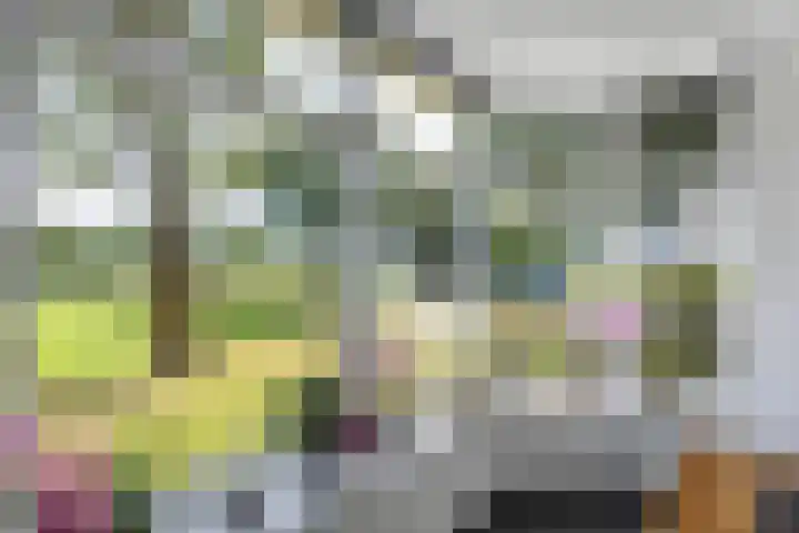 Mandewyk 37 Bakkeveen thumbnail 13