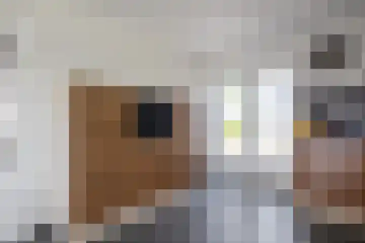 Mandewyk 37 Bakkeveen thumbnail 23