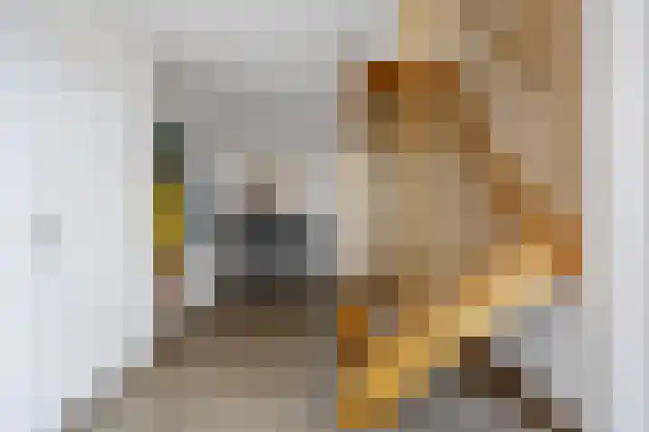 Mandewyk 37 Bakkeveen thumbnail 27