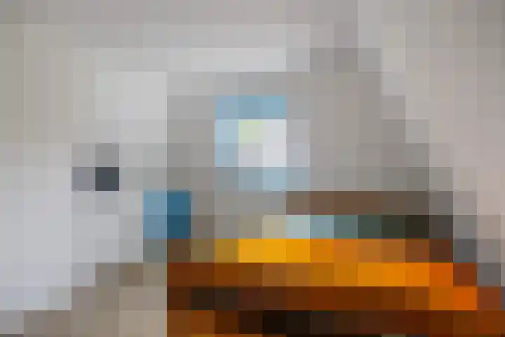 Mandewyk 37 Bakkeveen thumbnail 31