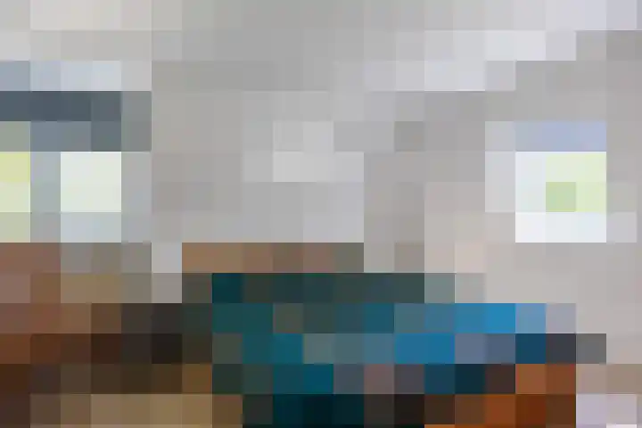 Mandewyk 37 Bakkeveen thumbnail 32