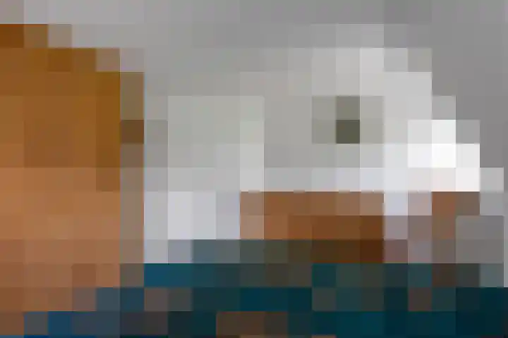 Mandewyk 37 Bakkeveen thumbnail 34