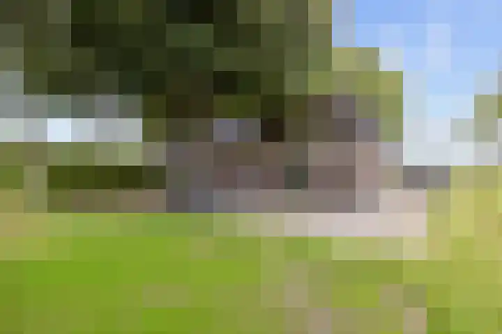 Mandewyk 37 Bakkeveen thumbnail 42