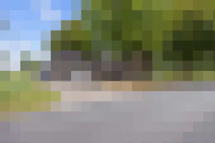 Mandewyk 37 Bakkeveen thumbnail 47