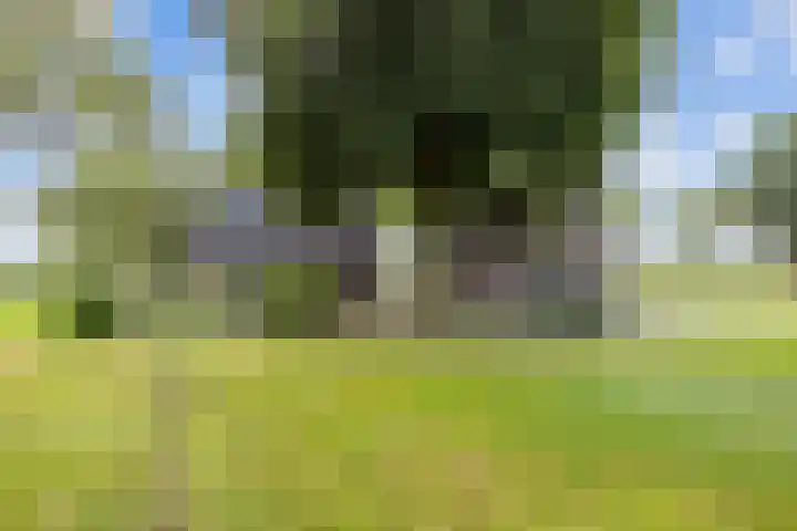 Mandewyk 37 Bakkeveen thumbnail 49