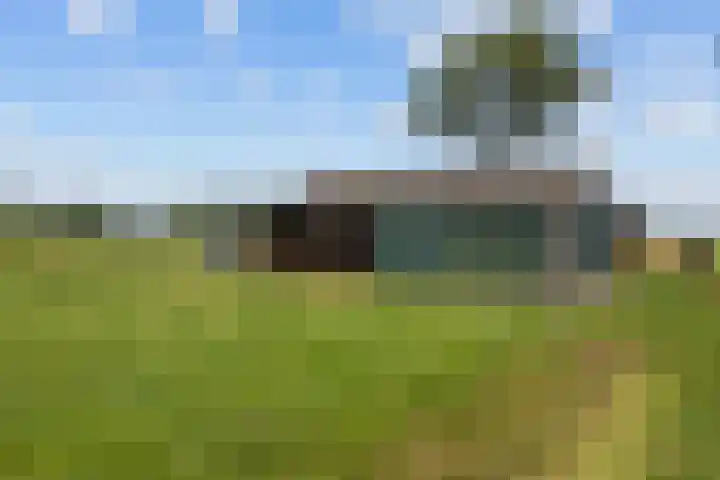 Mandewyk 37 Bakkeveen thumbnail 5