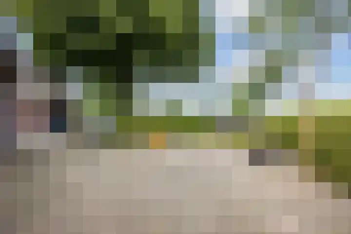 Mandewyk 37 Bakkeveen thumbnail 50