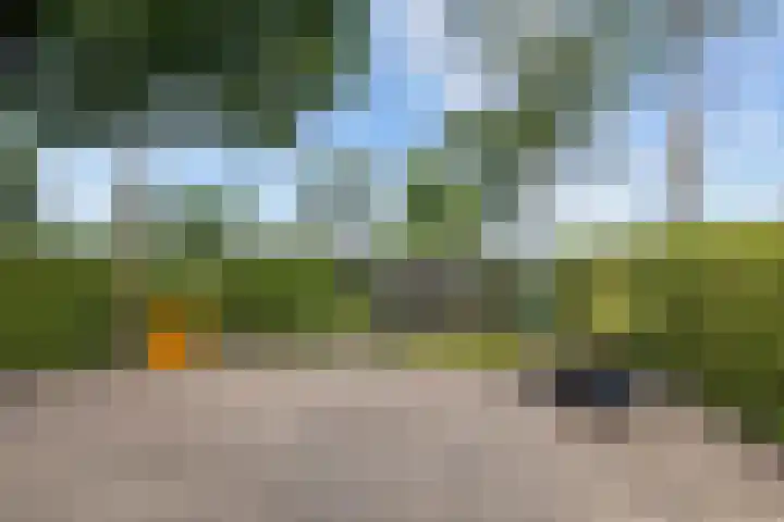 Mandewyk 37 Bakkeveen thumbnail 51