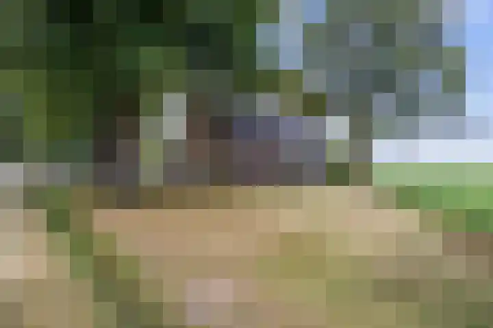 Mandewyk 37 Bakkeveen thumbnail 52
