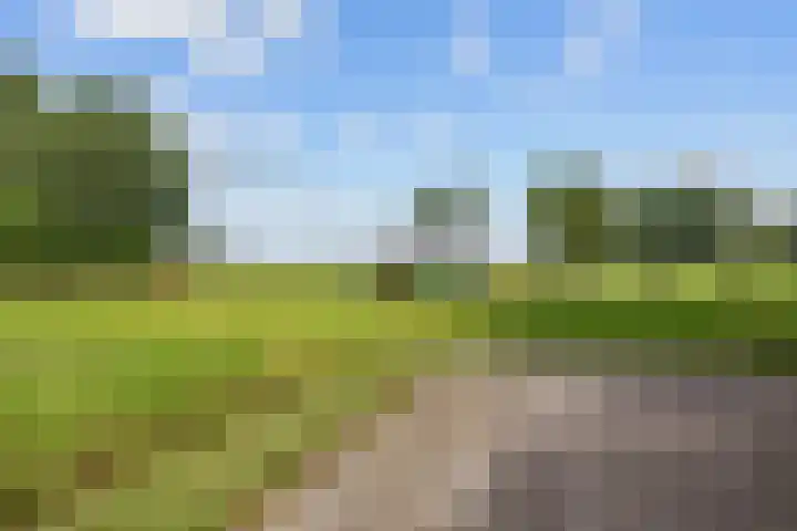 Mandewyk 37 Bakkeveen thumbnail 53