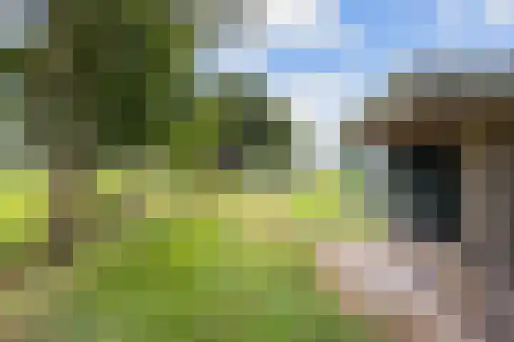 Mandewyk 37 Bakkeveen thumbnail 54