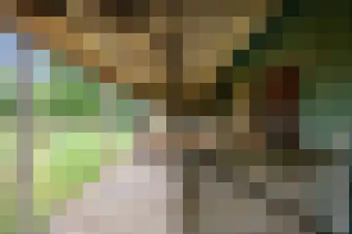 Mandewyk 37 Bakkeveen thumbnail 55
