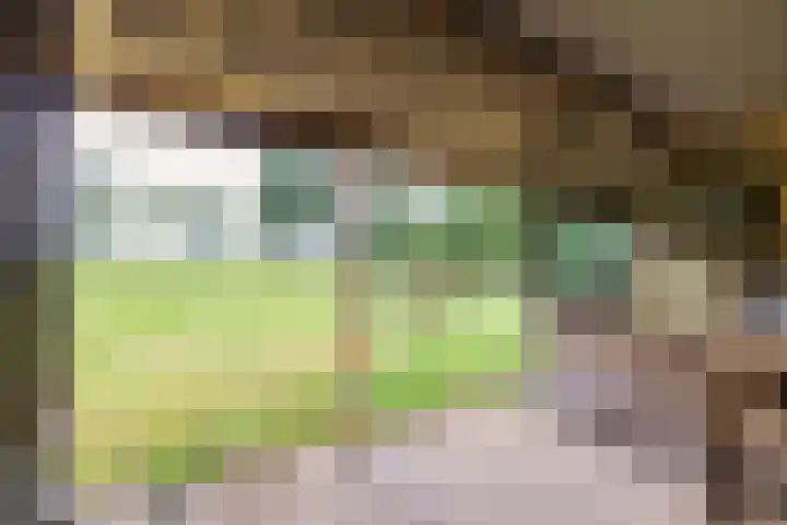 Mandewyk 37 Bakkeveen thumbnail 58