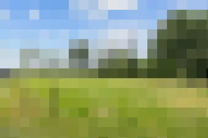 Mandewyk 37 Bakkeveen thumbnail 59