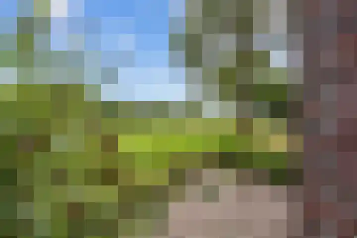 Mandewyk 37 Bakkeveen thumbnail 6