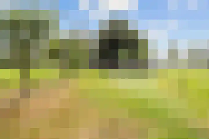 Mandewyk 37 Bakkeveen thumbnail 60