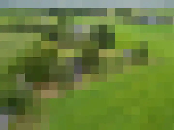Mandewyk 37 Bakkeveen thumbnail 61
