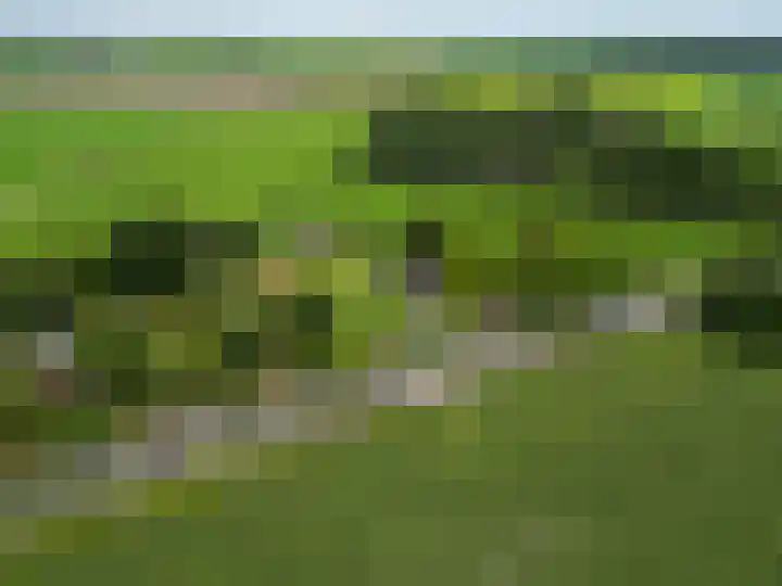 Mandewyk 37 Bakkeveen thumbnail 62