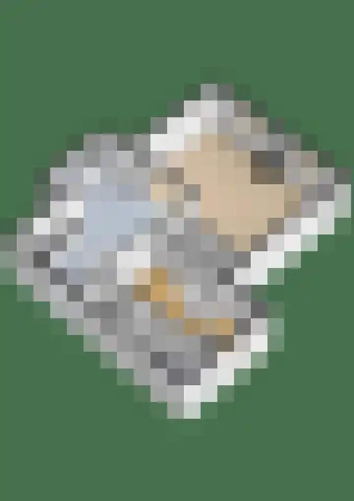 Mandewyk 37 Bakkeveen thumbnail 64