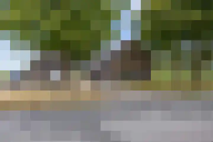 Mandewyk 37 Bakkeveen thumbnail 7