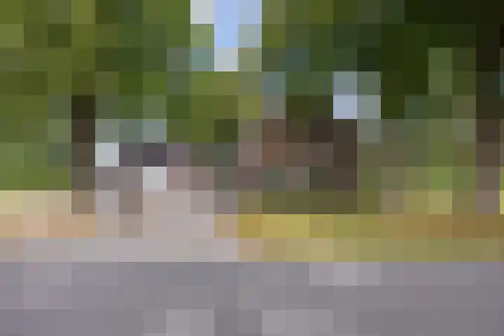 Mandewyk 37 Bakkeveen thumbnail 75