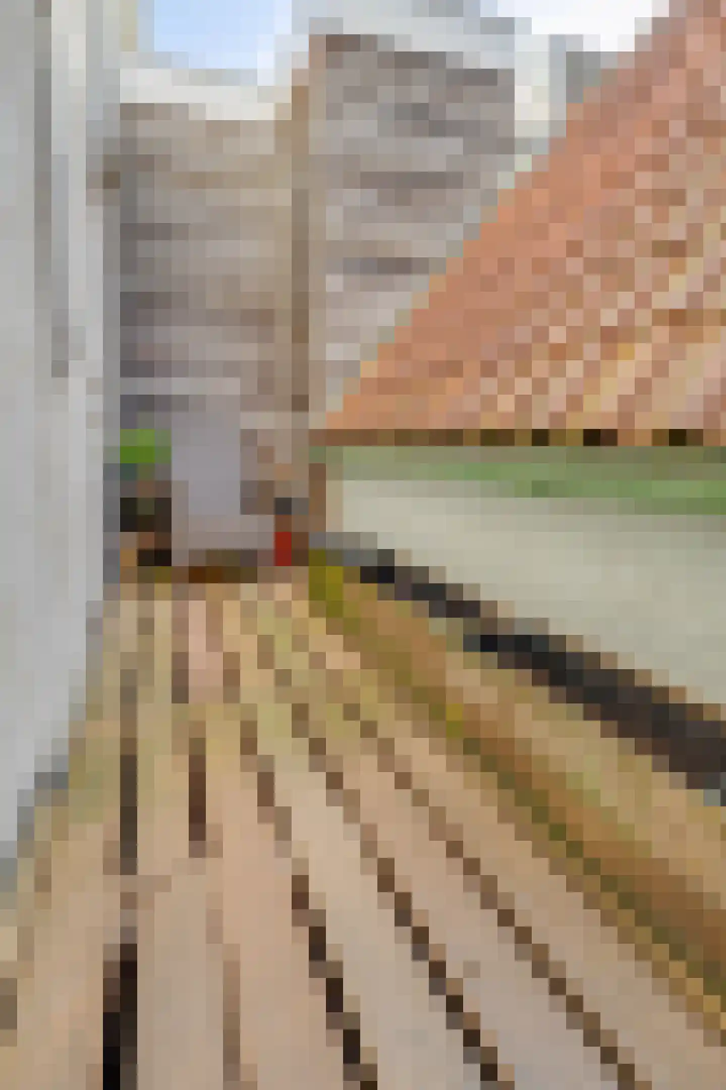 Mandjesstraat 1 A Zwolle thumbnail 10