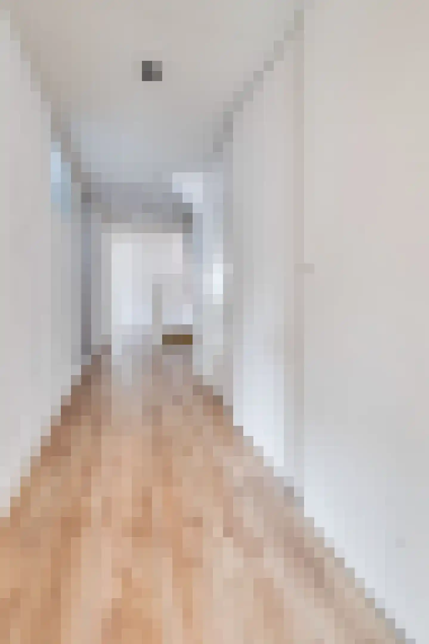 Mandjesstraat 1 A Zwolle thumbnail 12