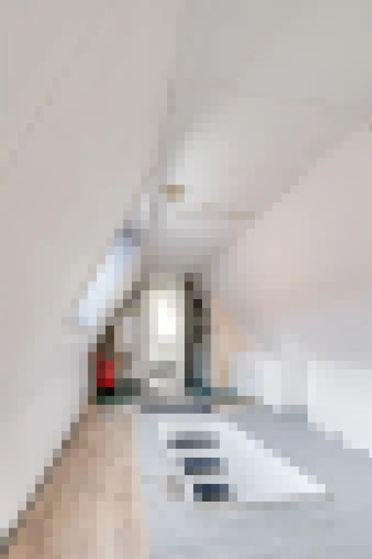 Mandjesstraat 1 A Zwolle thumbnail 18