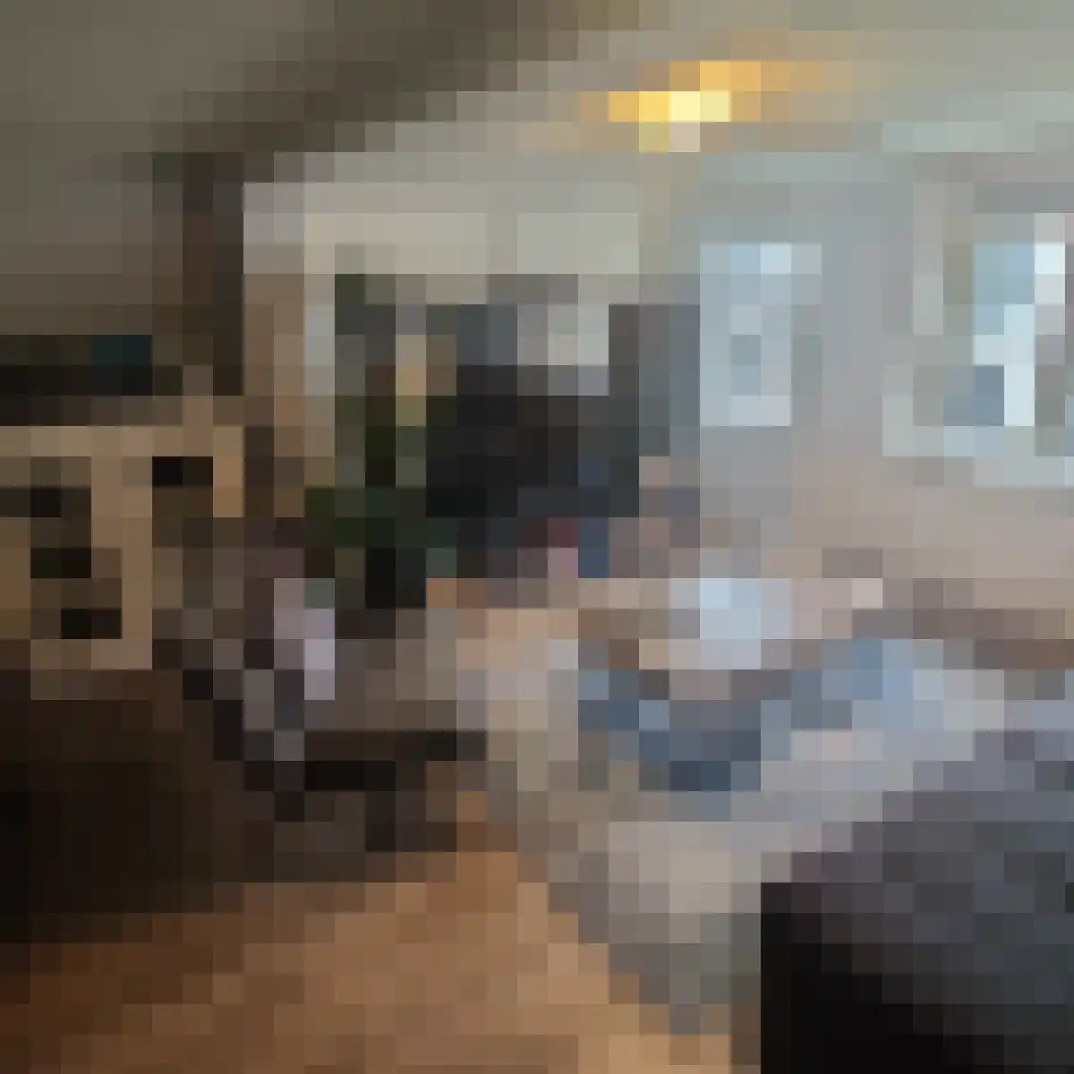 Mandjesstraat 2 Zwolle thumbnail 4
