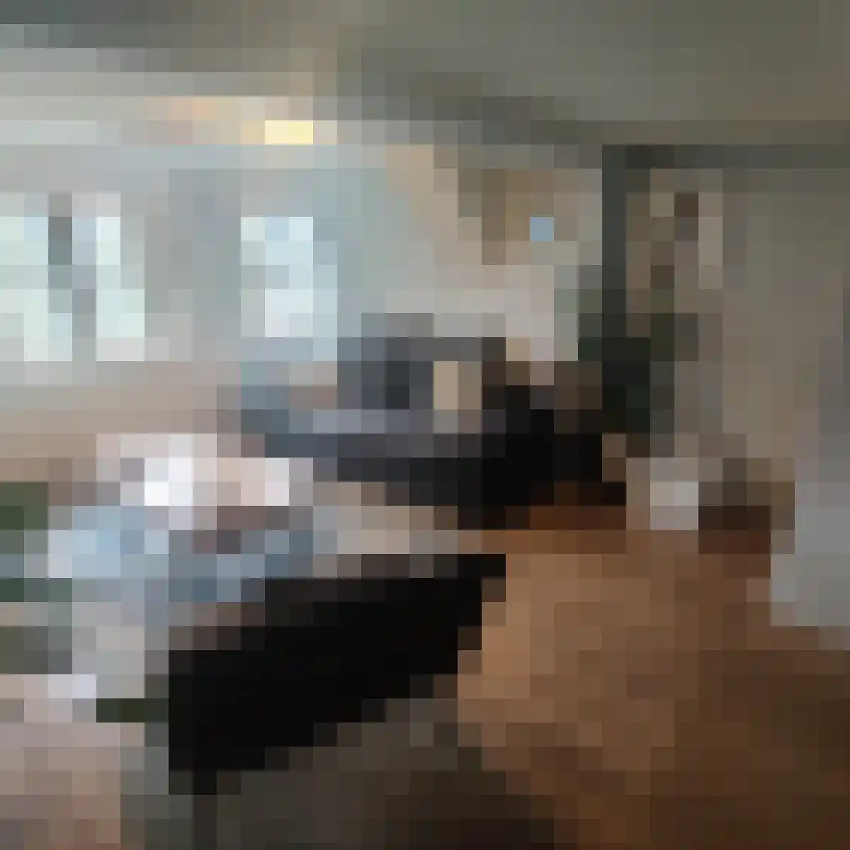 Mandjesstraat 2 Zwolle thumbnail 5
