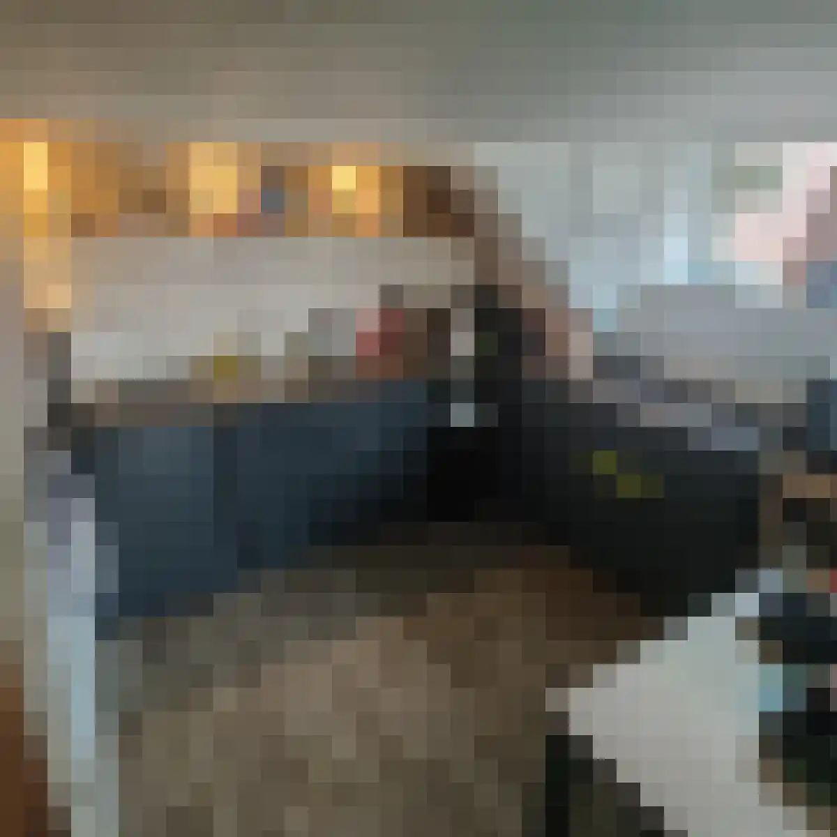 Mandjesstraat 2 Zwolle thumbnail 6
