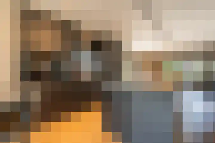 Mandoline 1 Klaaswaal thumbnail 12