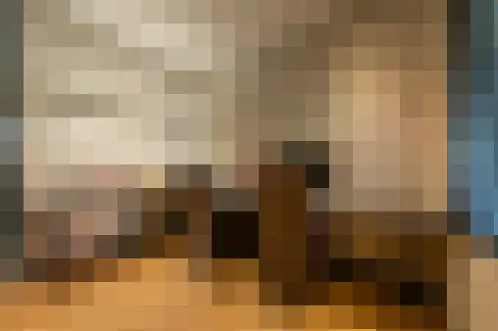 Mandoline 1 Klaaswaal thumbnail 15