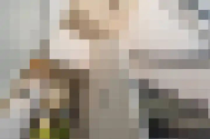 Mandoline 1 Klaaswaal thumbnail 22