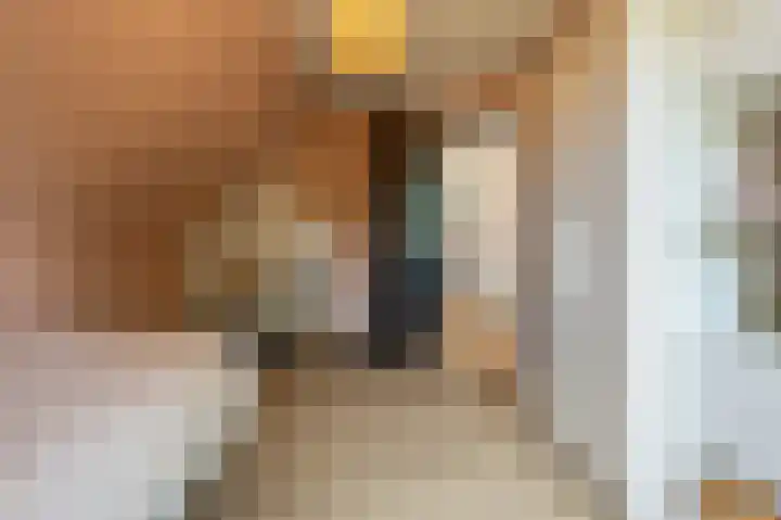 Mandoline 1 Klaaswaal thumbnail 30