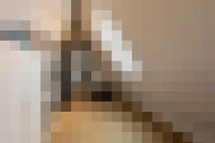 Mandoline 1 Klaaswaal thumbnail 41