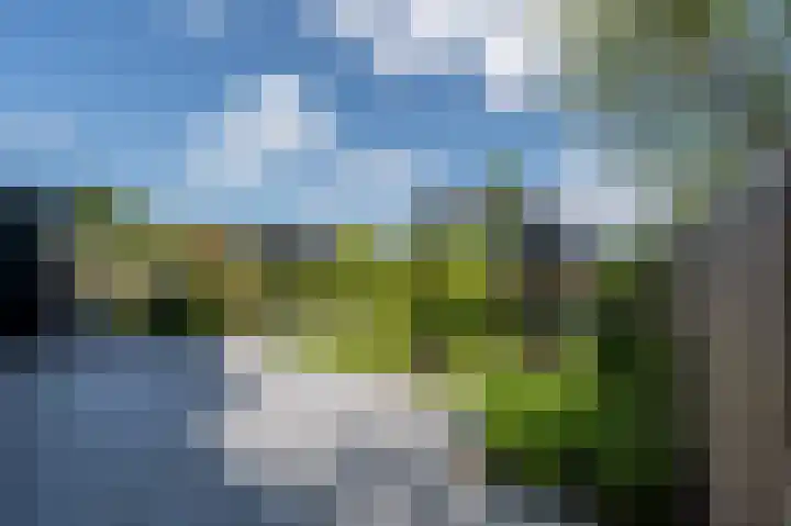 Mandoline 1 Klaaswaal thumbnail 42