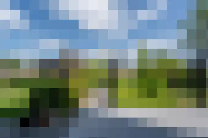 Mandoline 1 Klaaswaal thumbnail 43