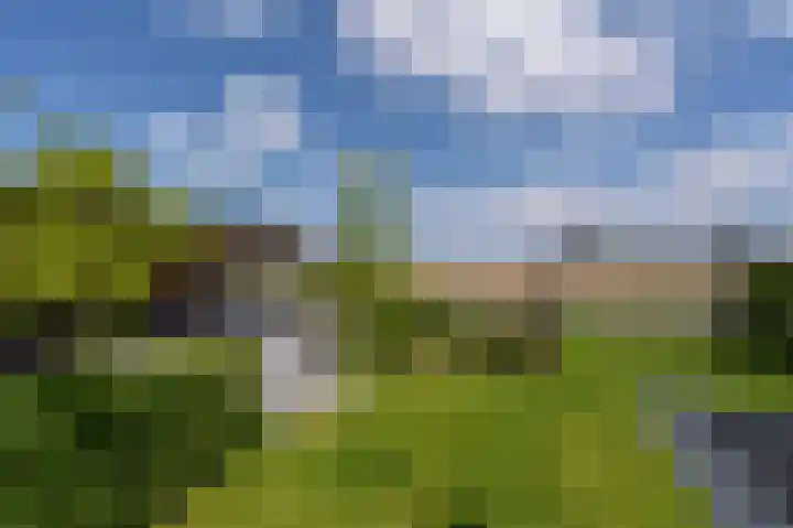Mandoline 1 Klaaswaal thumbnail 44