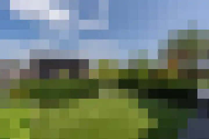 Mandoline 1 Klaaswaal thumbnail 45