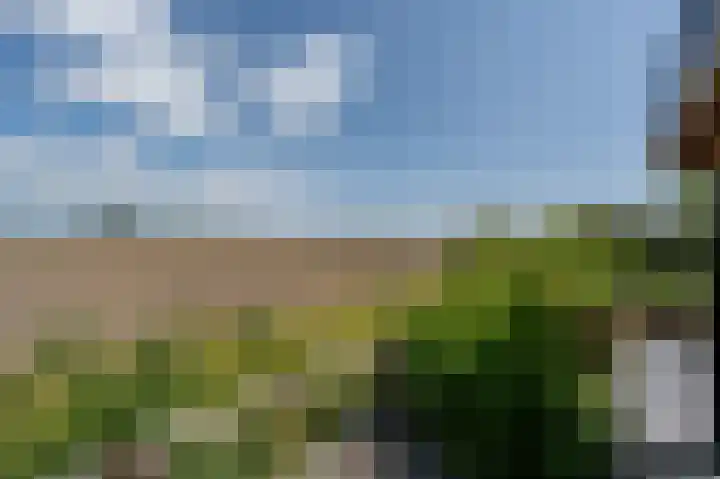 Mandoline 1 Klaaswaal thumbnail 51