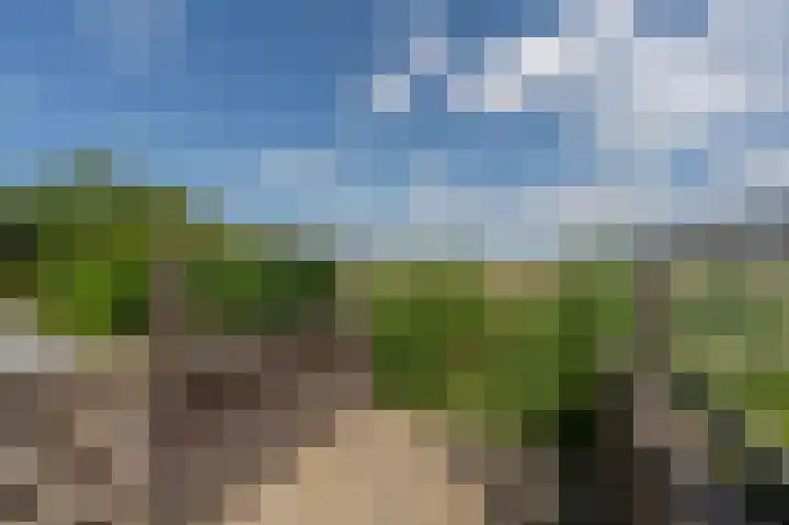 Mandoline 1 Klaaswaal thumbnail 52