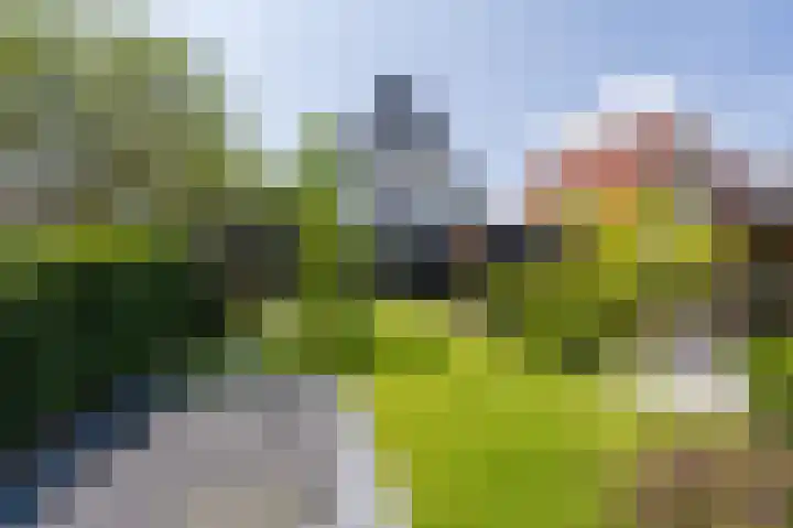 Mandoline 1 Klaaswaal thumbnail 53