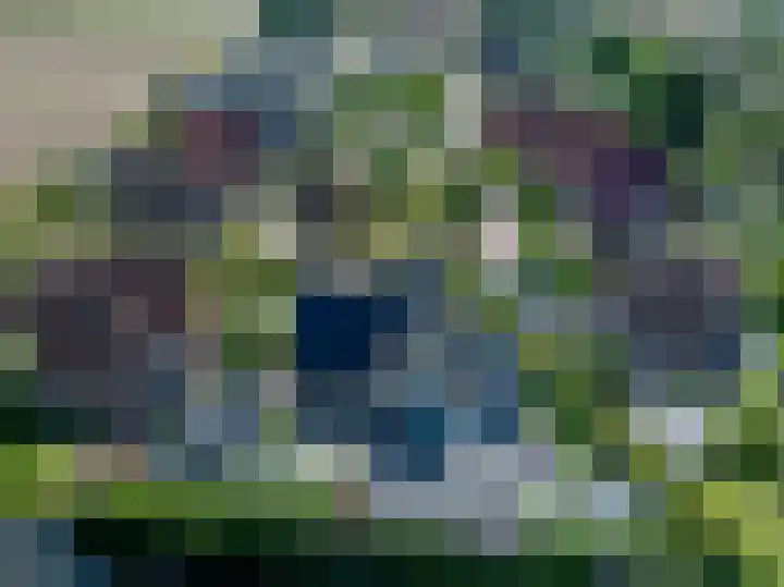 Mandoline 9 Klaaswaal thumbnail 58