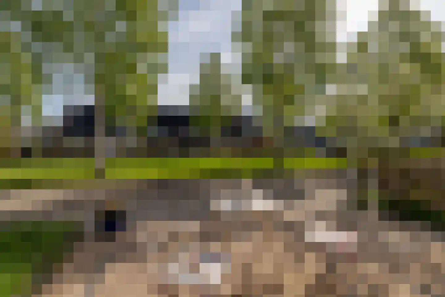 Mandolinehof 8 Barendrecht thumbnail 34