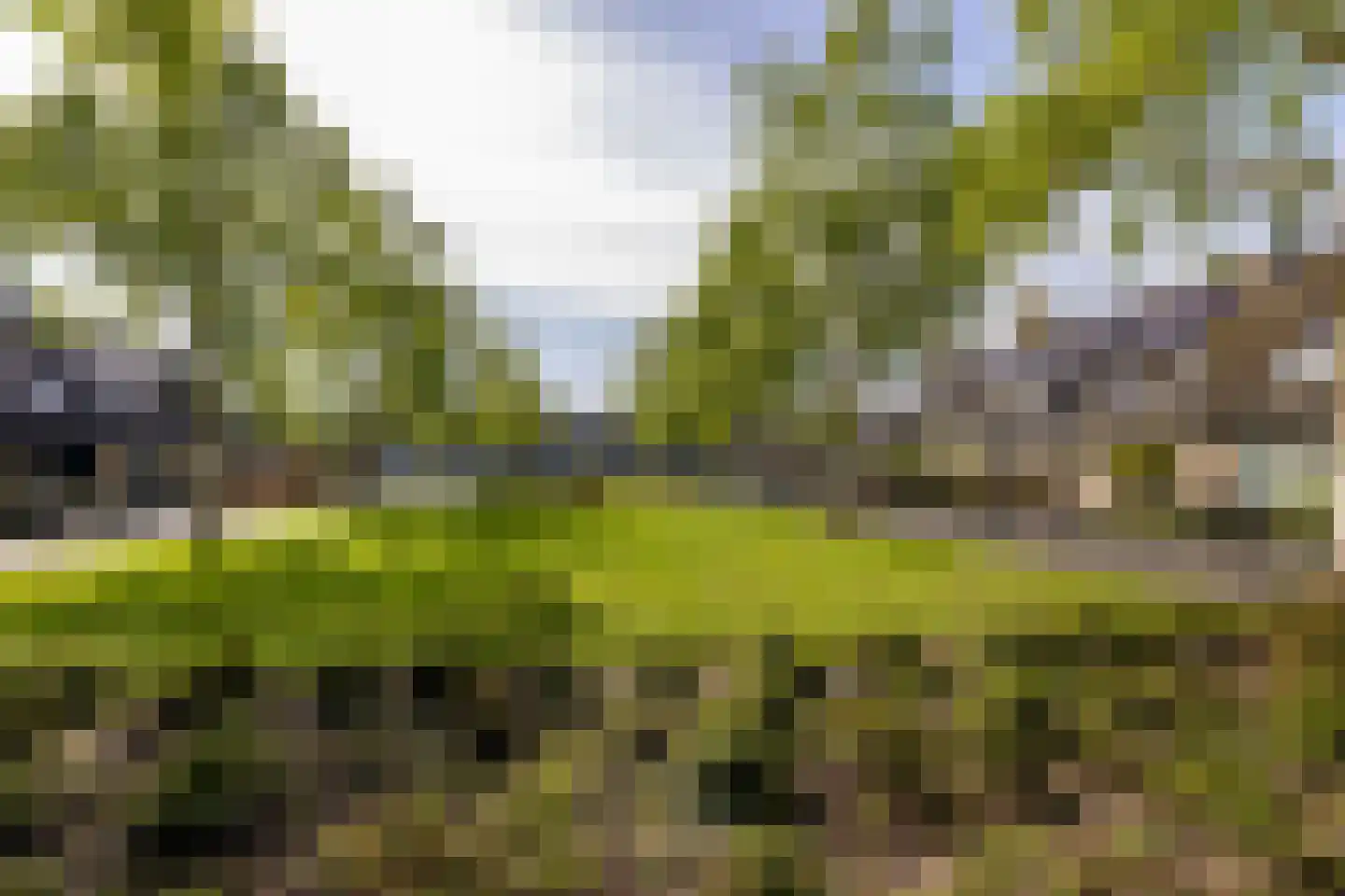 Mandolinehof 8 Barendrecht thumbnail 6