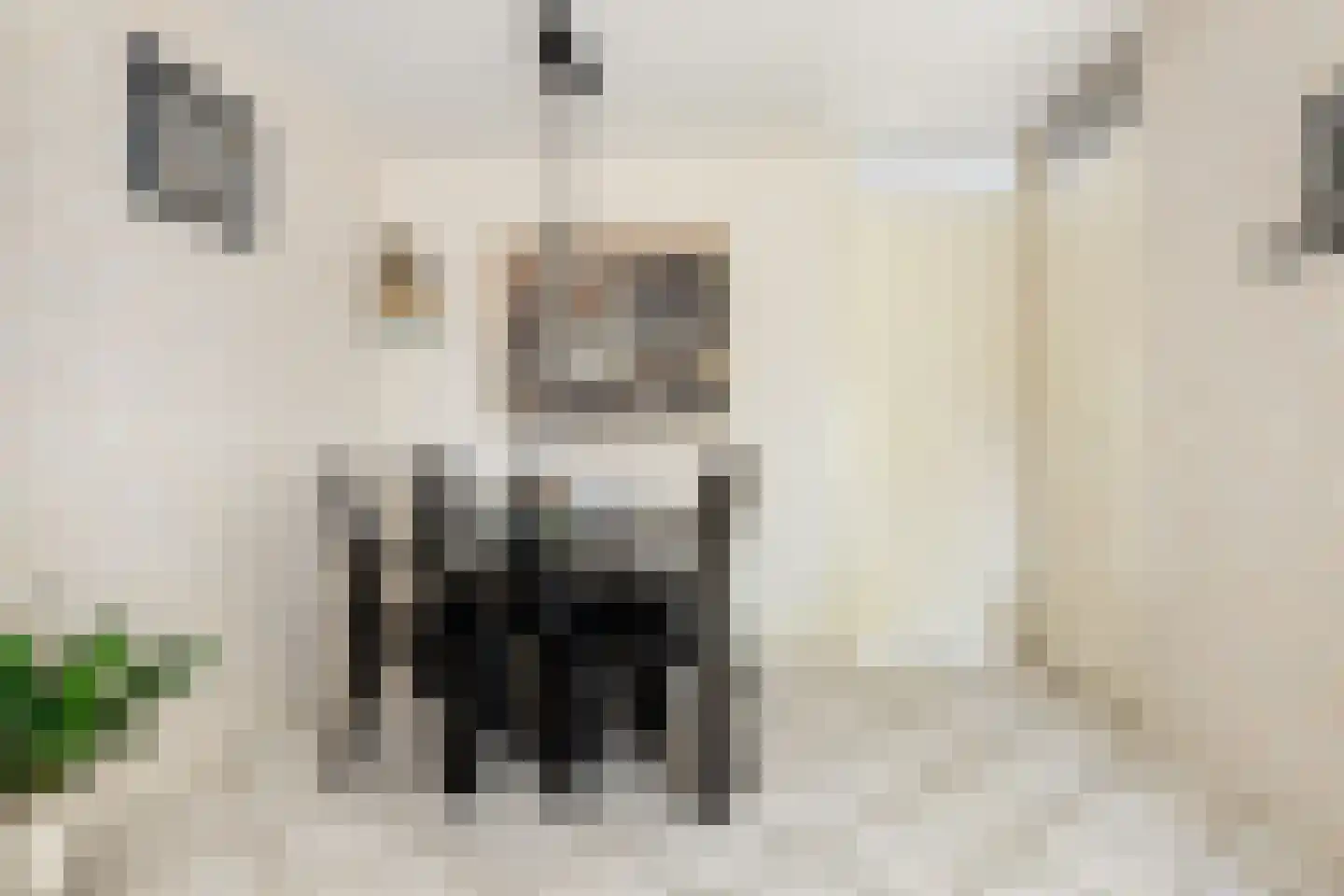 Mandolinehof 8 Barendrecht thumbnail 9