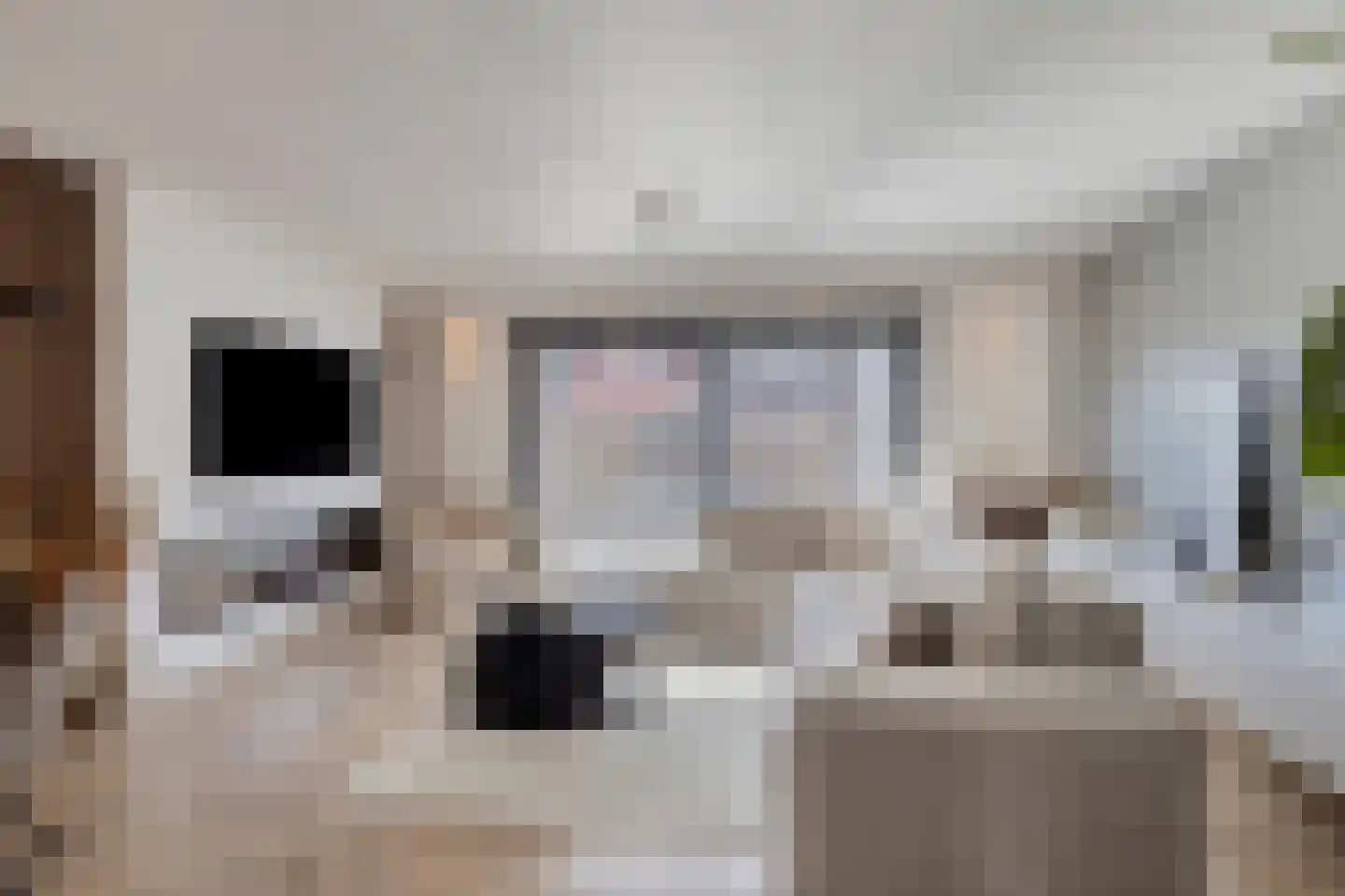 Mandolinestraat 17 Spijkenisse thumbnail 10